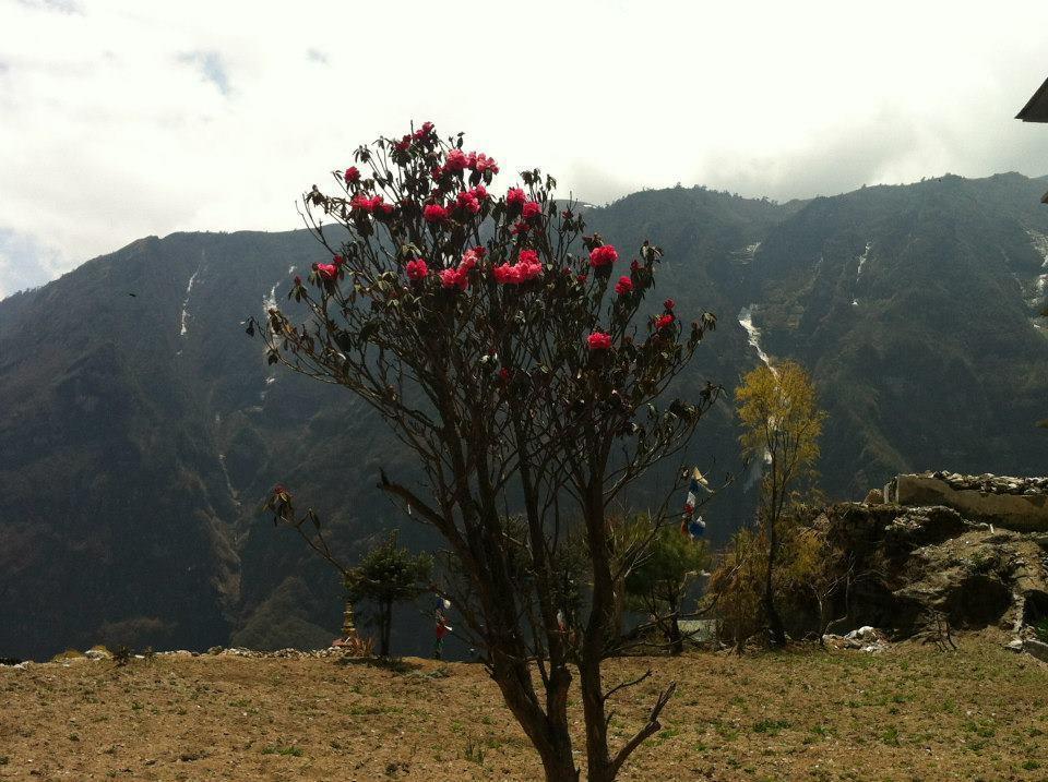 Hotel Namche Nāmche Bāzār Esterno foto